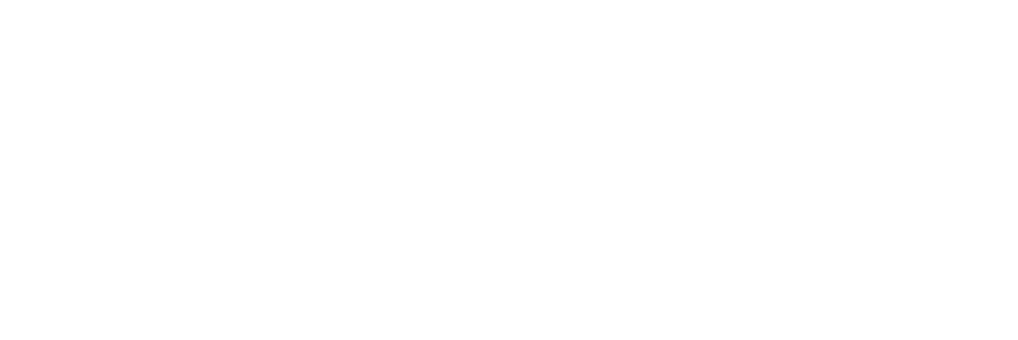 vision-to-tech_logo-weiss